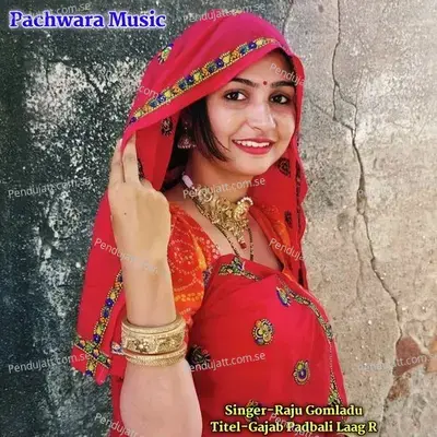Gajab Padbali Laag R - RAJU GOMLADU album cover 