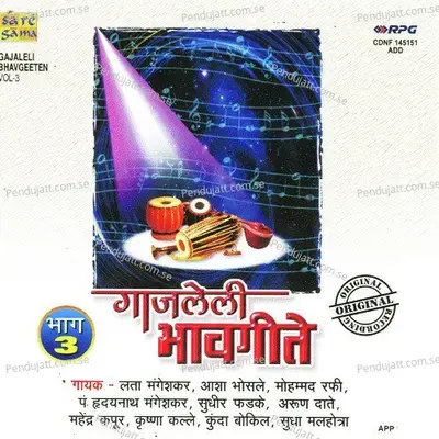 Gele Te Din Gele - Hridaynath Mangeshkar album cover 