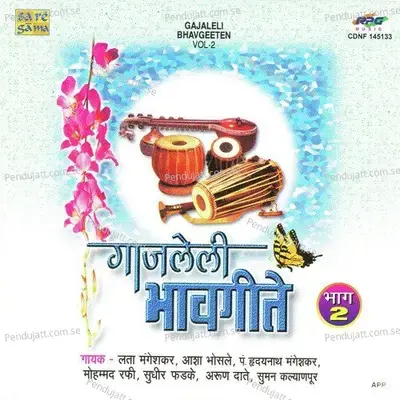 Lajun Hasanen - Hridaynath Mangeshkar album cover 