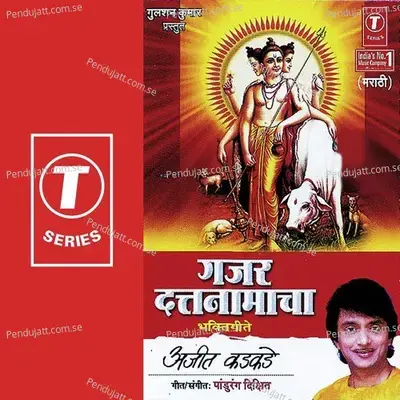 Nahi Japache Nahi Tapache - Pandurang Dixit album cover 