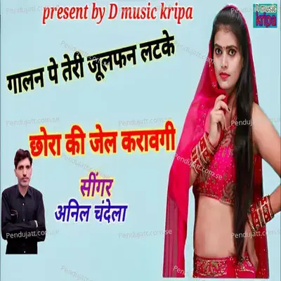 Galan Pe Teri Julfan Latke Chori Jail Karavgi - Anil Chandela album cover 
