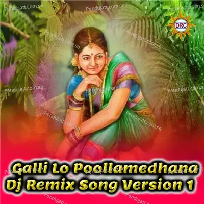 Galli Lo Poollamedhana - Peddapuli Eshwar album cover 