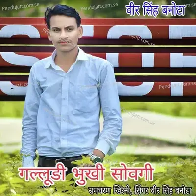 Galudi Bukhi Sowgi - Veersingh Banota album cover 