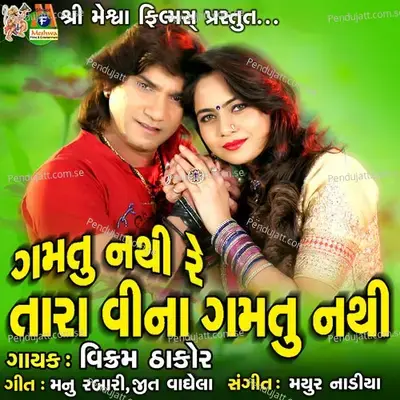Gamtu Nathi Re Tara Vina Gamtu Nathi - Vikram Thakor album cover 