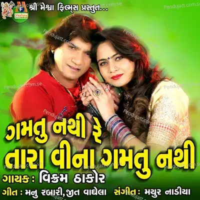 Gamtu Nathi Tara Vina Gamtu Nathi - Vikram Thakor cover album