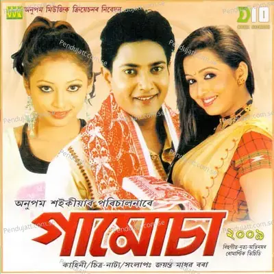 Najanu Mur Kun Hobo Dora - Chayanika Bhuyan album cover 