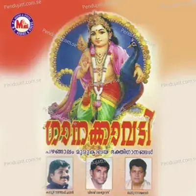 Aadiaadithulli - Latha Biju album cover 