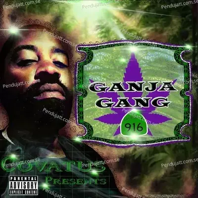 Scraper - 500 album cover 