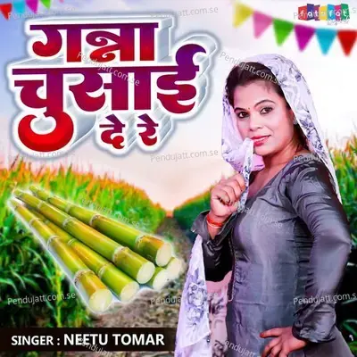 Ganna Chusai De Re - Neetu Tomar album cover 