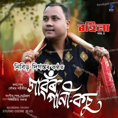 Gaonr Pani Kosu Dhekia - Nibir Diganta album cover 