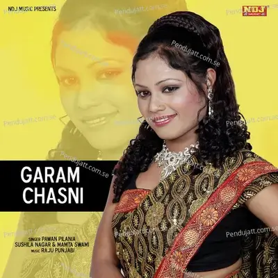 Garam Chasni - Pawan Pilania album cover 