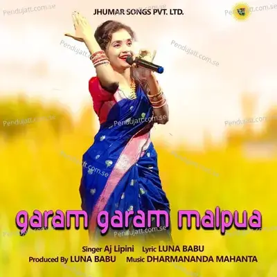 Garam Garam Malpua - AJ Lipini album cover 