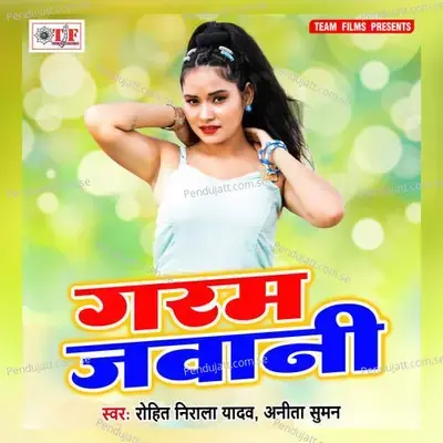 Danga Ho Jaee - Rohit Nirala Yadav album cover 