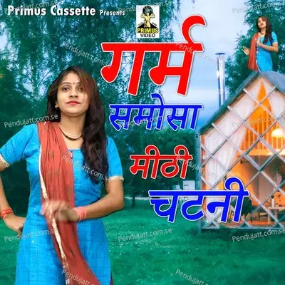 Garam Samosa Mithi Chatni - Neha Sharma album cover 
