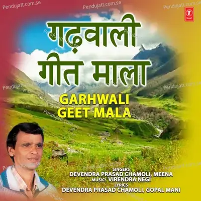 Hey Kulnaag Dev - Devendra Prasad Chamoli album cover 