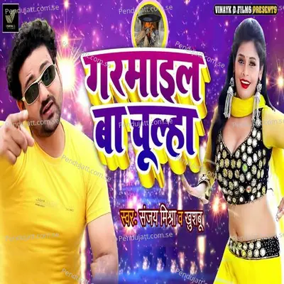 Garmail Ba Chulha - Sanjay Mishra album cover 