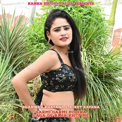 Garmi Garmi Podina Laga De Raja Khet Me - Bhanwar Khatana album cover 
