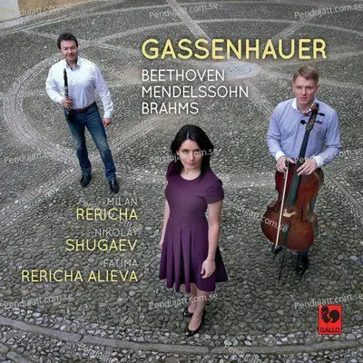 Piano Trio In B-Flat Major  Op  11  Quot Gassenhauer Quot   I  Allegro Con Brio - Milan Rericha album cover 