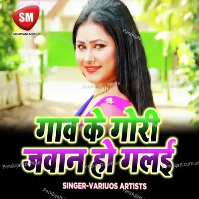 Didi Chhotka Dewarba Ge - Payal album cover 