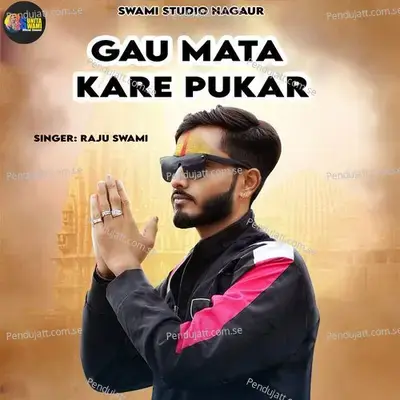 Gau Mata Kare Pukar - Raju Swami album cover 