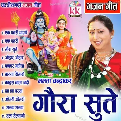 Thela Thelwani - Mamta Chandrakar album cover 