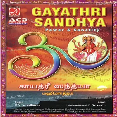Gayathri Sandhya - G. Srikanth cover album