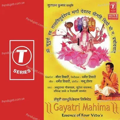 Gayatri Ke Mahamantra Se - Nandu Honap album cover 