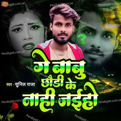 Ge Babu Chhori Ke Nahi Jaiho - Sunil Raja album cover 