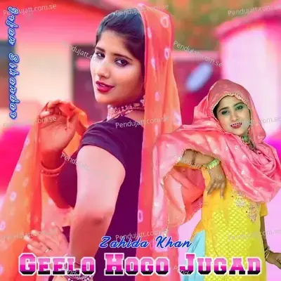 Geelo Hogo Jugad - Irfan Sikandar album cover 