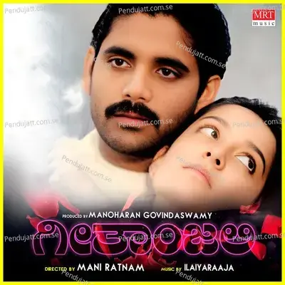 Nandi Bettad Thappalinalli - Govind Kurnool album cover 