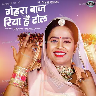 Gehra Baj Riya Hai Dhol - Salim Shekhawas album cover 