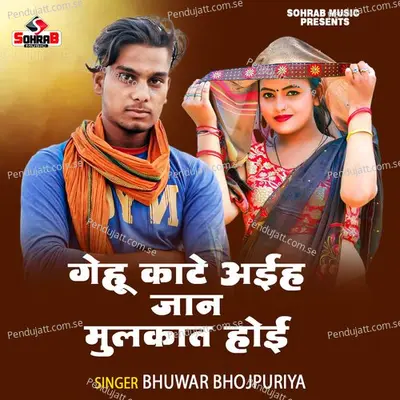 Gehu Kate Aih Jaan Mulkat Hoi - Bhuwar Bhojpuriya album cover 