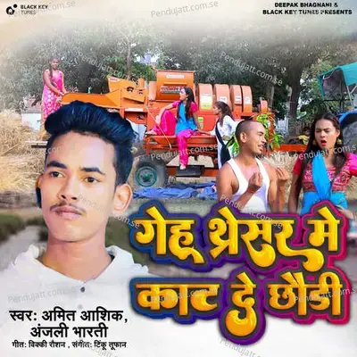 Gehu Thresar Me Kat De Chori - Amit Aashik album cover 