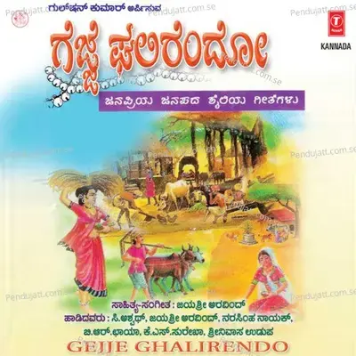 Melu Keelu - B.R. Chaya album cover 