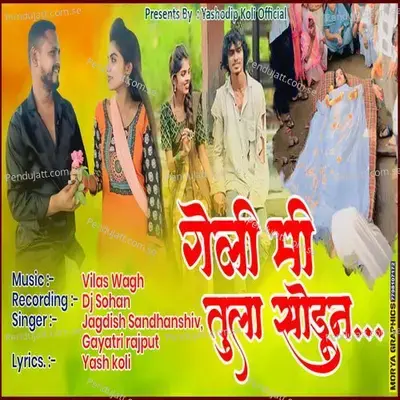 Geli Mi Tula Sodun - Jagdish Sandhanshiv album cover 