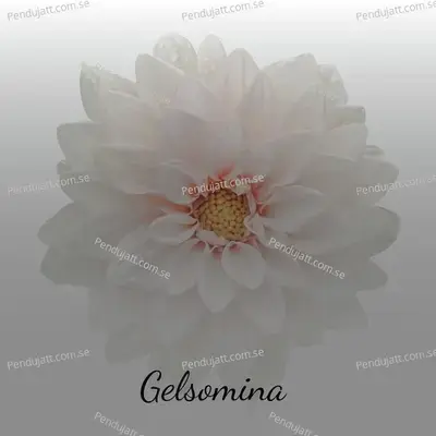 Gelsomina - Various Artists cover album