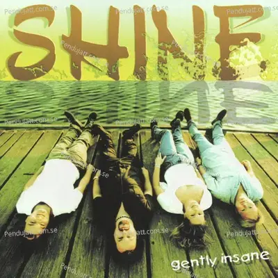 Gently Insane - Shine cover album