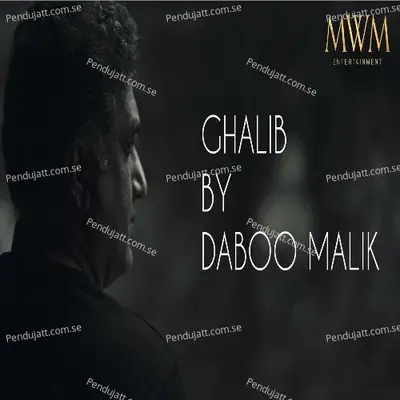 Naam Toh Hone Do - Daboo Malik album cover 