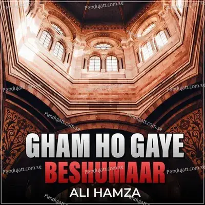 Gham Ho Gaye Beshumaar - Ali Hamza album cover 