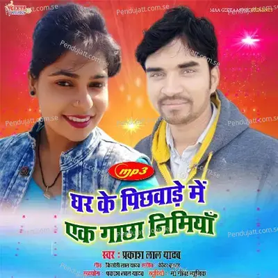 Ghar Ke Pichhware Me - Prakash Yadav album cover 