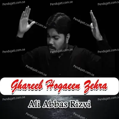 Ghareeb Hogaeen Zehra - Ali Abbas Rizvi album cover 