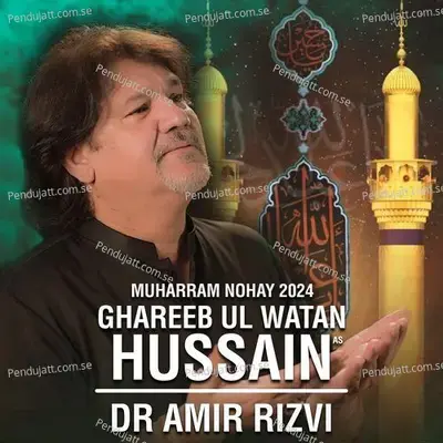 Ghareeb Ul Watan Hussain - Dr. Amir Rizvi album cover 