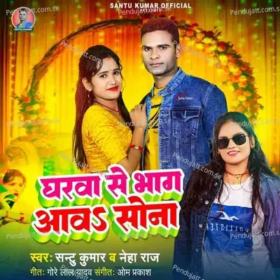 Gharwa Se Bhag Aava Sona - Santu Kumar album cover 