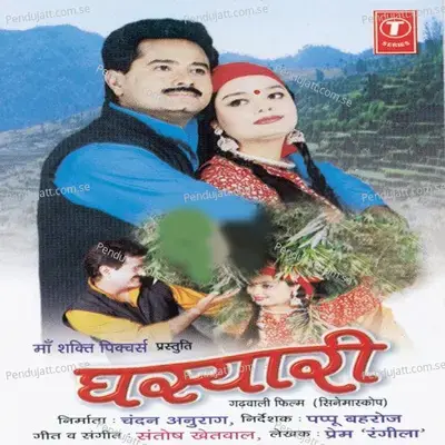 Aeja Aeja Na Ja Na Ja - Narendra Singh Negi album cover 