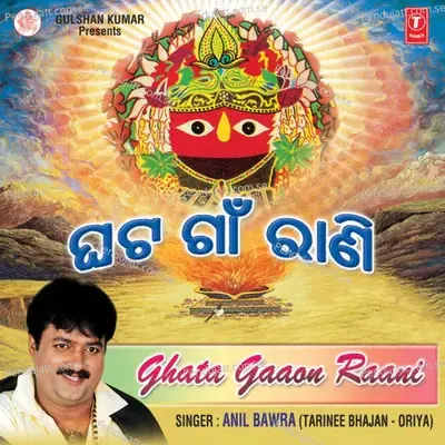 Ghata Gaaon Raani - Anil Bawra cover album