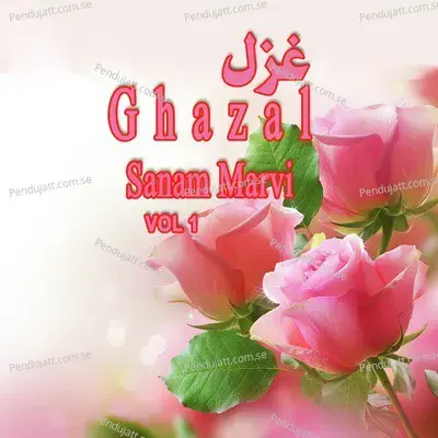 Muhn Te Ilzam - Sanam Marvi album cover 