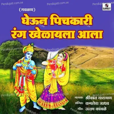 Gheun Pichkari Rang Khelayla Aala - Shrikant Narayan album cover 