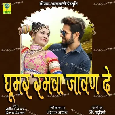 Ghooor Ramva Javan De - Salim Shekhawas album cover 