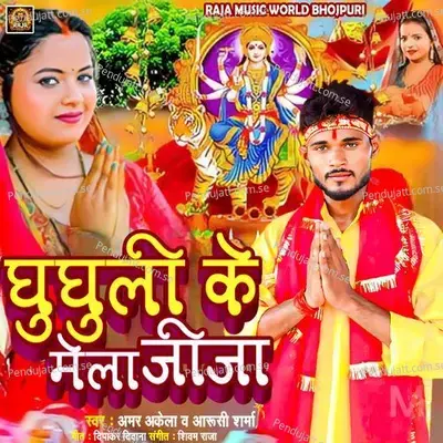 Ghughuli Ke Mela Jija - Amar Akela album cover 