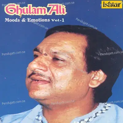 Hua Ek Haseen Haadsa Peete Peete - Raza Ali Khan album cover 